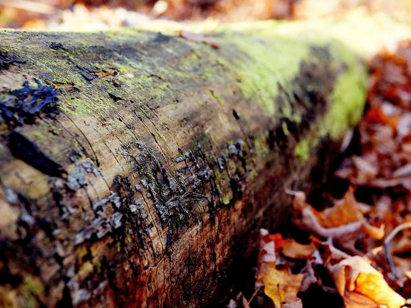 sudoku timer mode screenshot 5